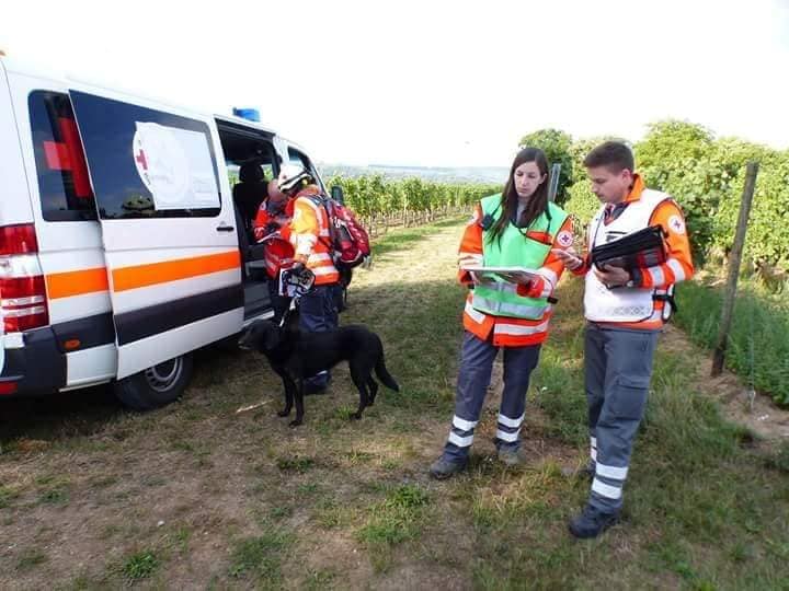 Waldbrandübung bei Volkach Waldbrandübung Volkach